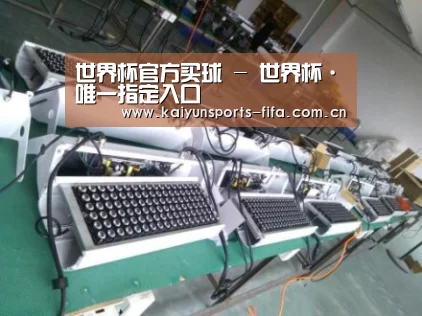 世界杯投注案例展示一