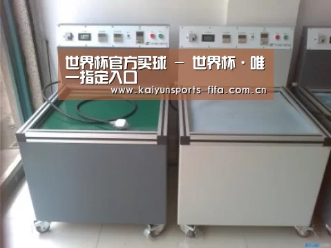 世界杯投注案例展示二