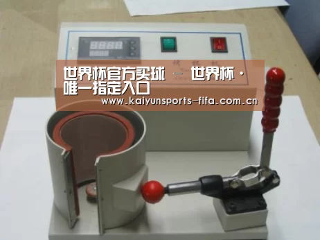 世界杯投注案例展示六