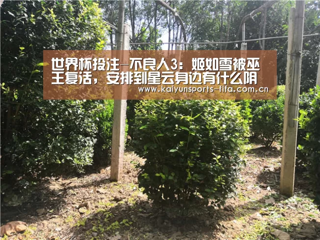 世界杯投注-不良人3:姬如雪被巫王复活,安排到星云身边有什么阴谋?(图1) 世界杯投注