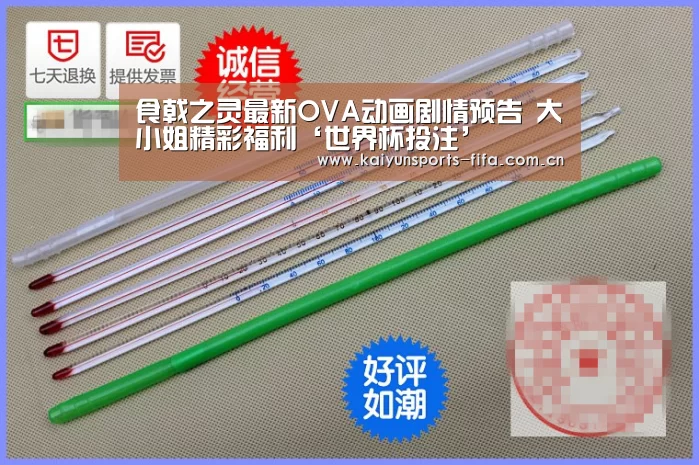 世界杯投注